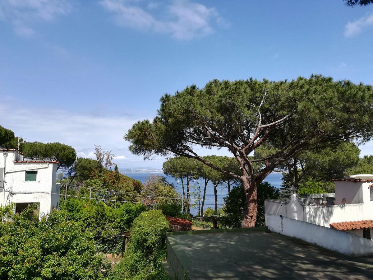 Villa Cinque Pini Казамиччола-Терме Экстерьер фото